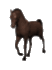 Avatar von Mustang