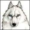 Avatar von old_wolf